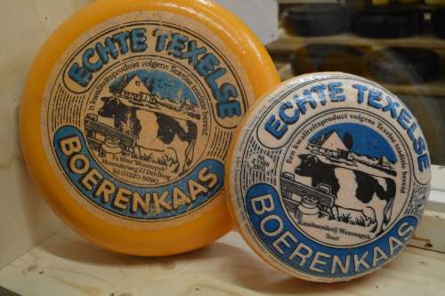 Cheese Texel Netherlands West Frisian Farmer Farm