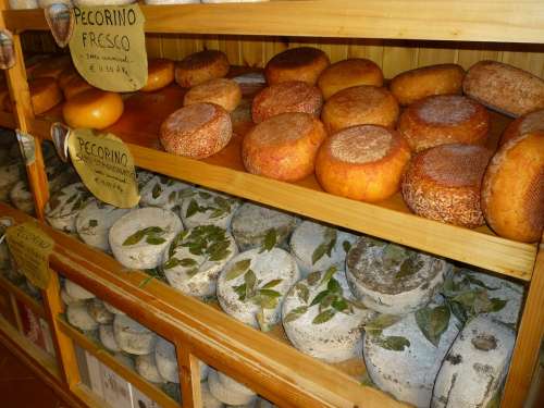 Cheese Cheese Loaf Tuscany Italy