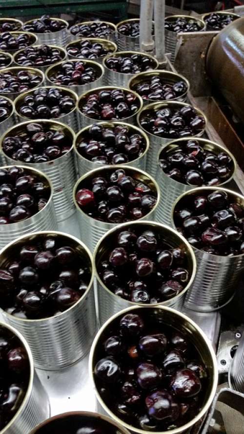 Cherry Produce Food Canning Processing Process