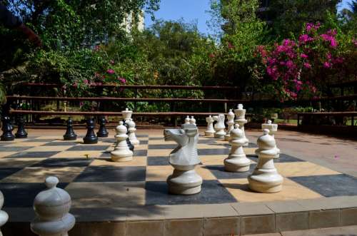 Chess Chess Board Game Outdoors Strategy Play