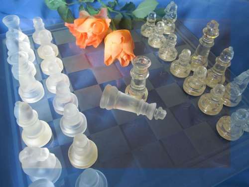 Chess Roses Chess Game Chess Pieces Figures