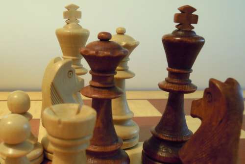 Chess Chess Pieces King Lady Chess Board