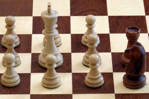 Chess Chess Pieces White Black King Farmers