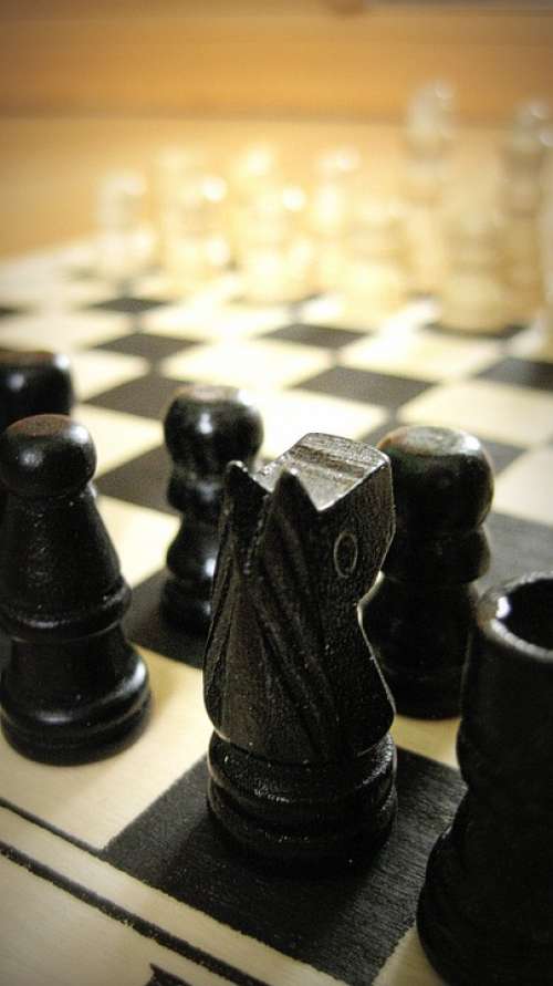 Chess Figures Chessboard Game Intelligence Hobby
