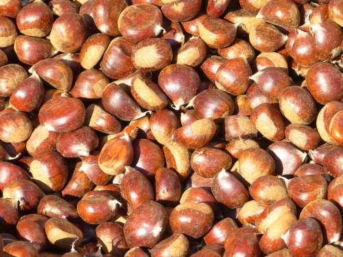 Chestnuts Sweet Chestnuts Delicious Eat Food