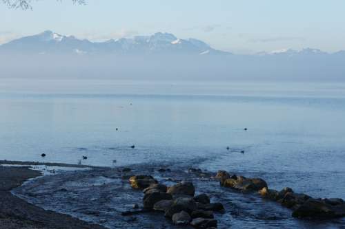 Chiemsee Mood Lake Water Mountains Snow Winter