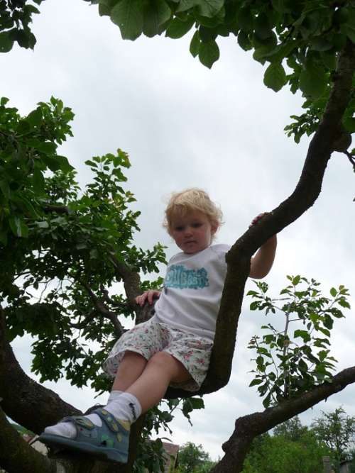Child Tree Climb Play Garden Playground Movement