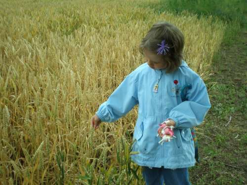 Child Field Cereals Away Wheat Wheat Field Arable