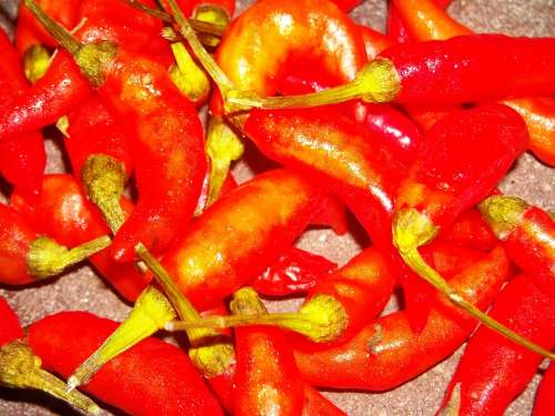 Chili Red Lombok Spicy