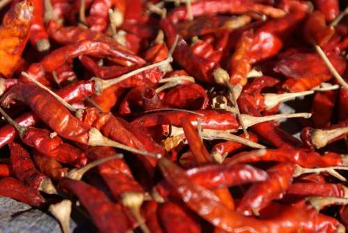 Chili Chilli Pepper Red Sharp
