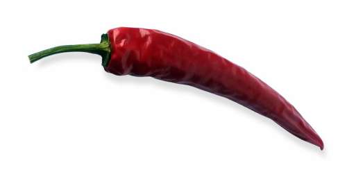 Chili Chilli Pepper Red Sharp Hot Light Shadow