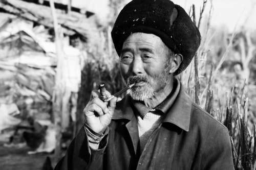 China Portrait Man Old Asia Beard