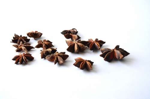 Chinese Star Anise Anise Illicium Verum Star Anise