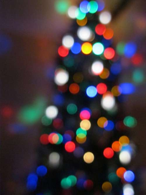 Christmas Tree Colors Lights Xmas Conifer