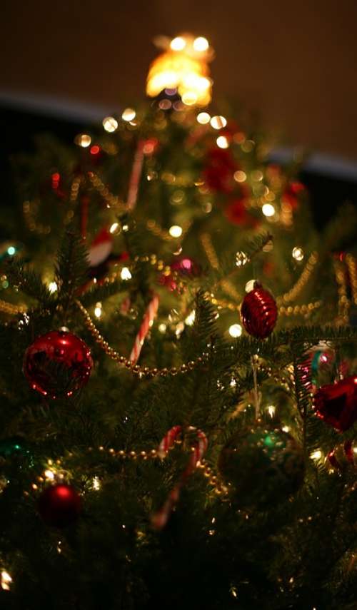 Christmas Tree Holiday Decoration Xmas Season