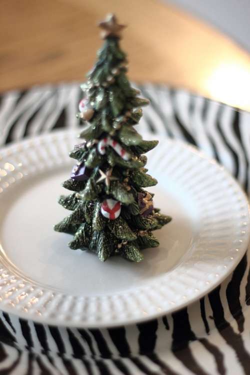 Christmas Tree Pine Decoration Xmas Holiday