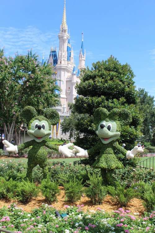 Cinderella'S Castle Walt Disney World Disney