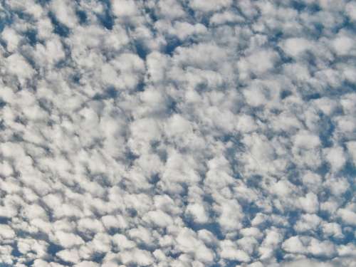 Cirrocumulus Cloud Sky