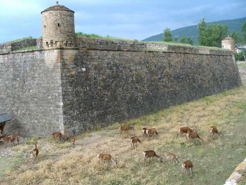 Citadel Fortification Jaca Huesca Jacetania