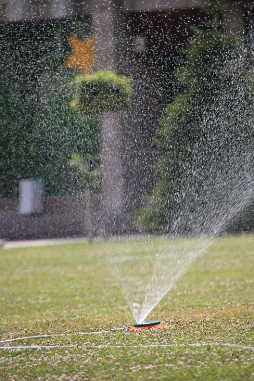 City Garden Grass Green Heat Spraying Sprinkler