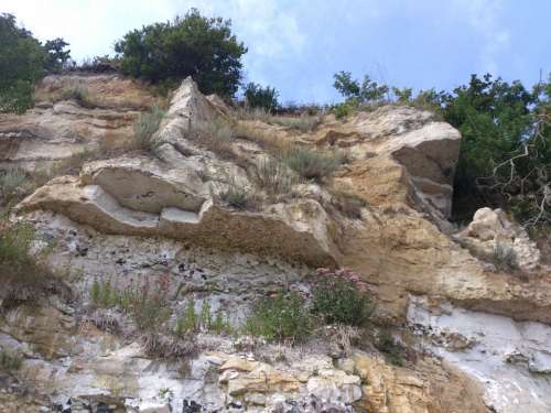 Cliff Limestone Structure Detail Nature Special