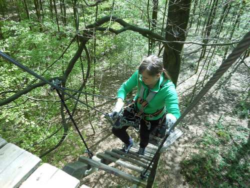 Climbing Forest Aachen Trees Hobby Holidays Drex