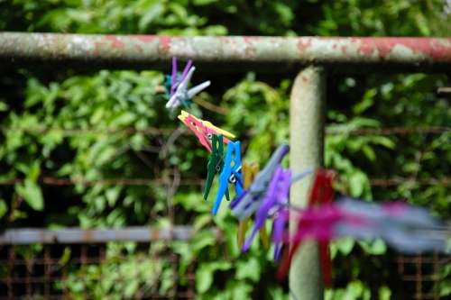 Clothes Line Clamp Colorful Garden Green Rust
