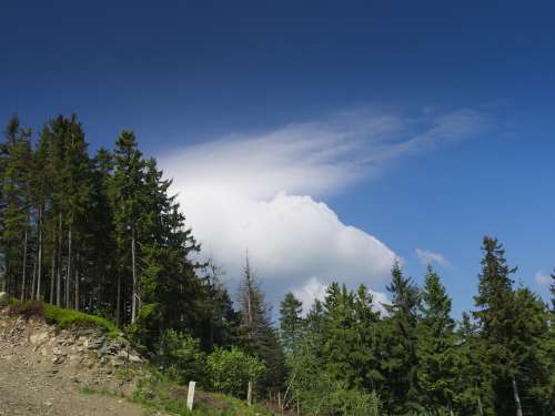 Cloud Mountains Forest View Landscape Beskids