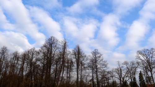 Cloud Clouds Blue Blue Sky Colors Autumn Sunshine