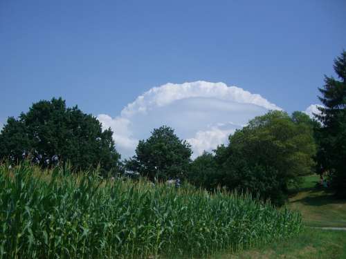 Clouds Clouds Arc Sky Blue Cornfield Green Corn