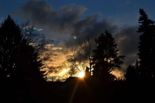 Clouds Blue Grey Afterglow Sun Rays Tree