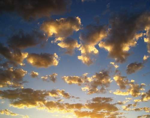 Clouds Loose Scattered Gold Shiny Bright Sunset