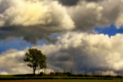 Clouds Nature Landscape Sky Mood Tree Lonely
