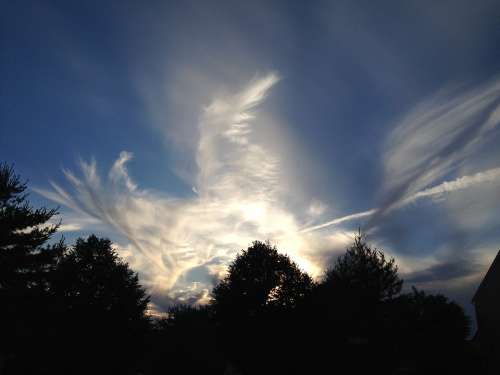 Clouds Pattern Sky Trees Blue Nature Light