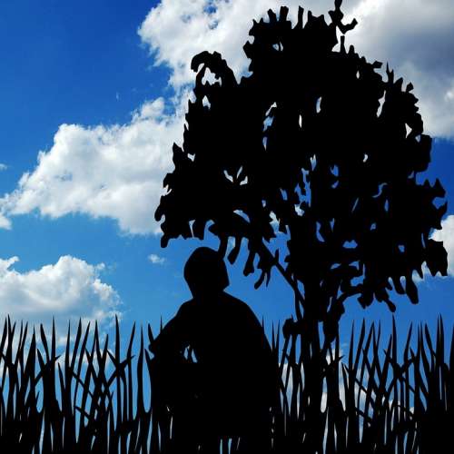Clouds Man Tree Sky Person Nature Male Outdoor