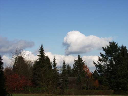 Clouds Sky Weather Trees Landscape