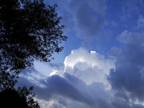 Clouds Stormy Bright Trees Nature Sky