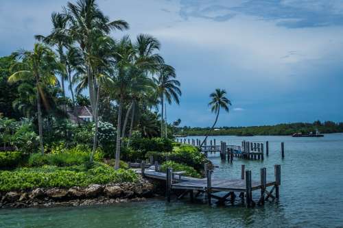 Coast Florida Ocean Sea Water Palms Tropical