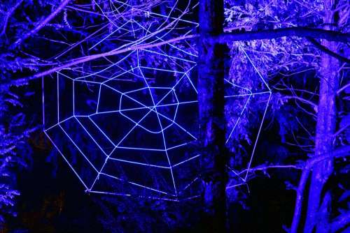 Cobweb Web Westphalia Park Winter Lights 2013