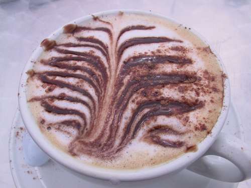 Coffee Cafe Cappuccino Melange Chocolate Fern