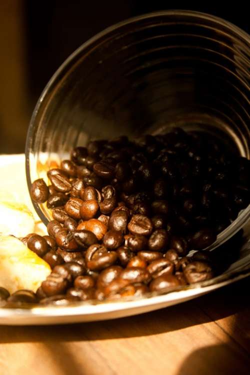 Coffee Coffee Beans Roasted Aroma Brown Caffeine