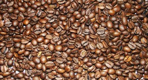 Coffee Coffee Beans Caffeine