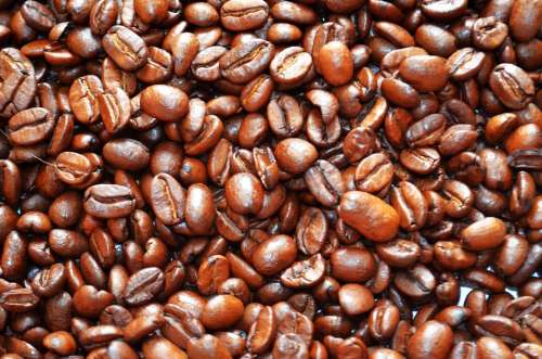 Coffee Beans Benefit From Aroma