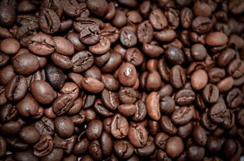 Coffee Beans Coffee The Drink Caffeine The Brew