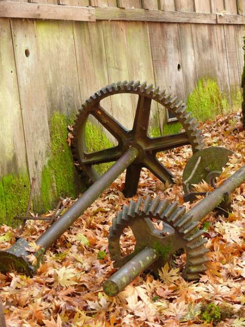 Cogs Cogwheels Leaves Foliage Weathered Grist Mill