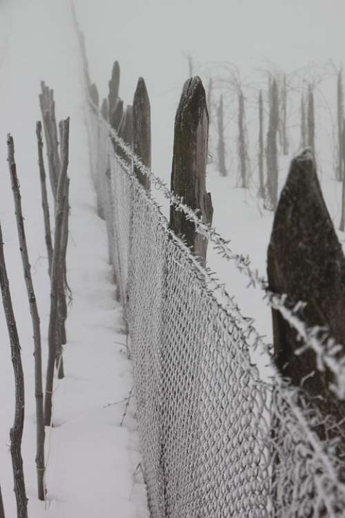 Cold Fence Frozen Iron White Wire Winter
