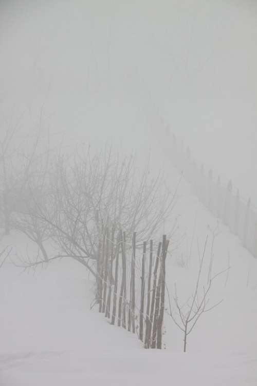 Cold Fog Mist Morning Snow Nature Winter