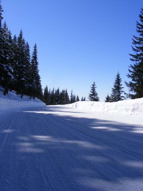 Cold Mountain Road Snow Snowy White Travel
