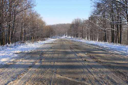 Cold Forest Road Snow Snowy Trees White Winter