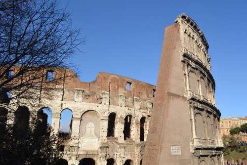 Coliseum Rome Italy Wall
